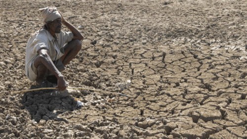 Karnataka declares 23 more taluks drought-hit