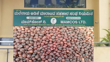 Paan Masala ban sparks areca growers’ fear