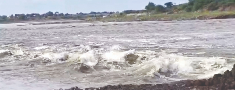 Ujani water revives parched Bhima River