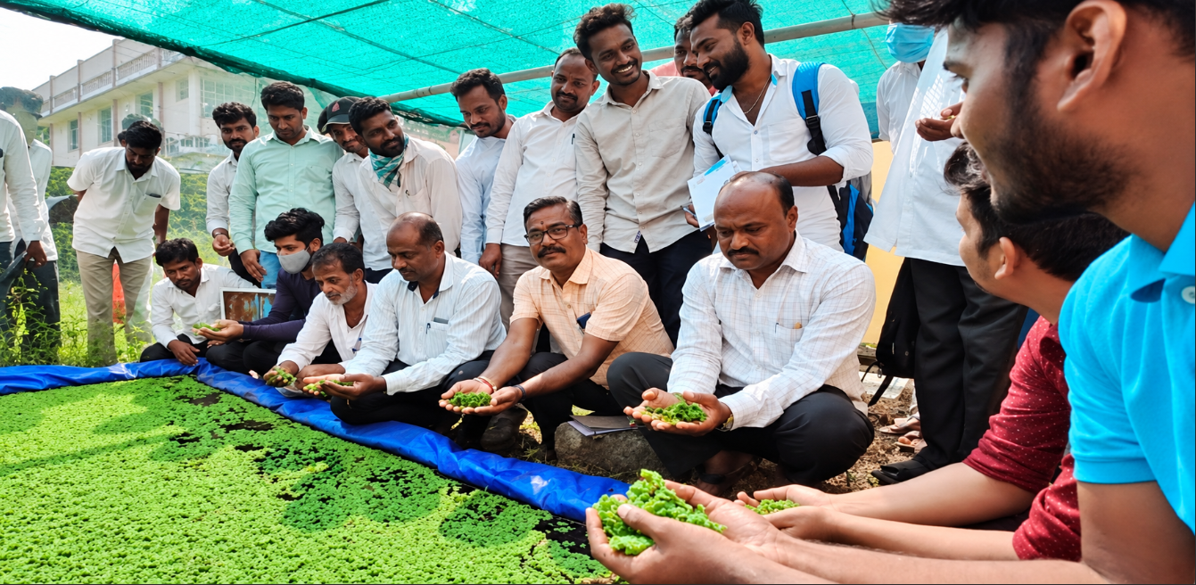 Karnataka tackles water scarcity with aquatic fodder