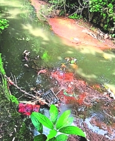 Sewage discharge into drain raises disease concerns