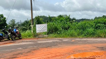 Vittal-Kanyana road turns into pothole-ridden stretch, cartoon mocks officials