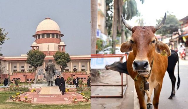 SC stays Madras HC's blanket ban on cow slaughter in TN