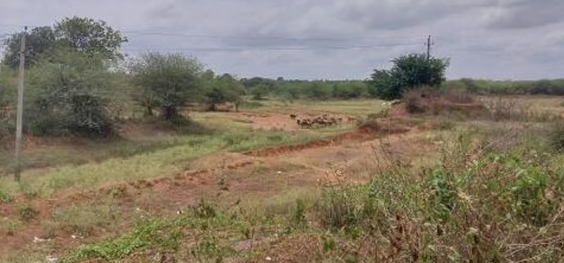 Ballari faces severe drought as rainfall falls