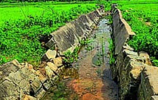 Dilapidated canals leave Farmers in distress