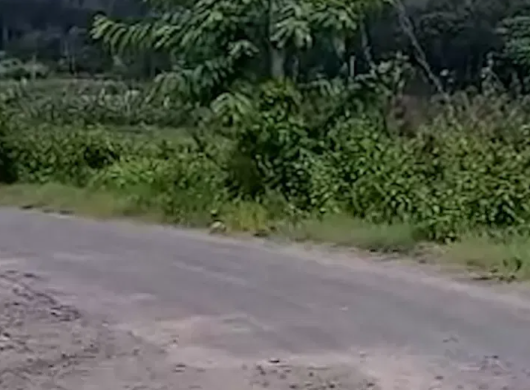 Belagodu lake road repair completed after alert