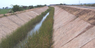 Canal siphoning uncovered in Vijayapura