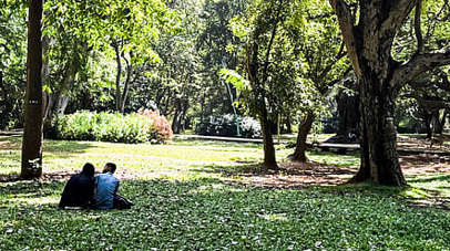 Parks for projects? Bengaluru residents oppose