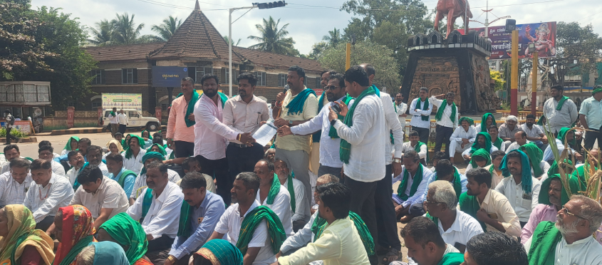 Farmers demand drought status and relief for Belagavi