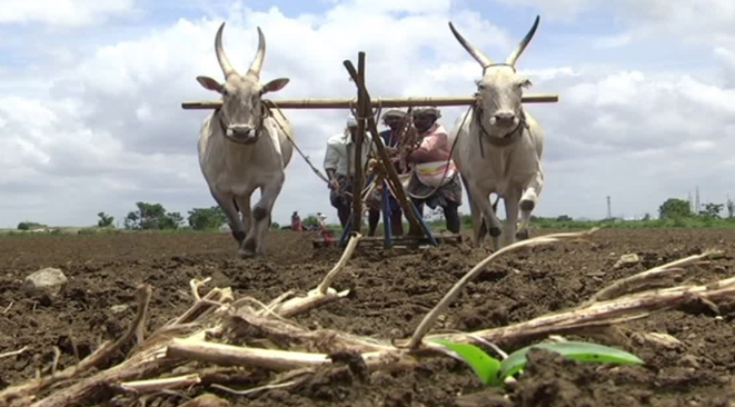 Haveri farmers demand drought-hit district status