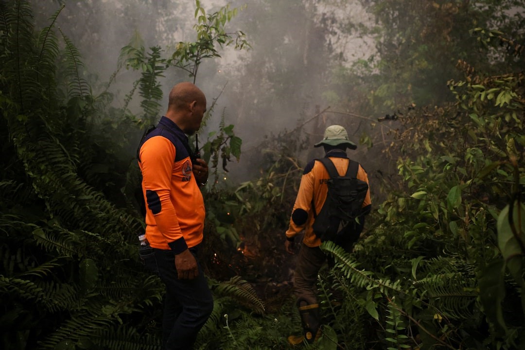 Civil society groups sue Prabowo over forest fire