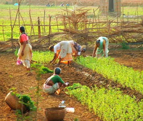 Farmers Shaping the Future of India