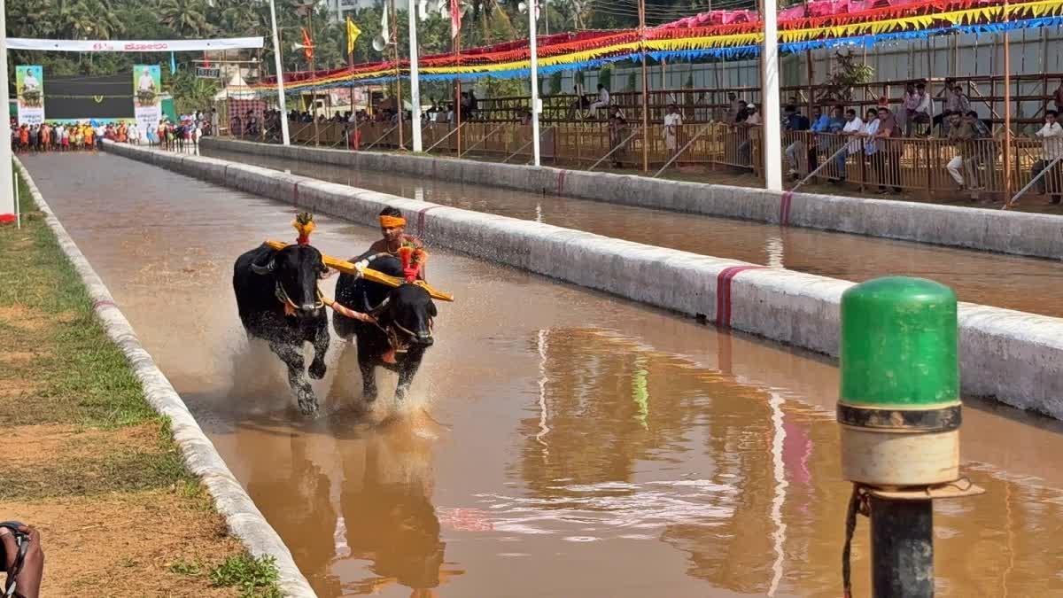 State Kambala Association seeks 5 crore grant
