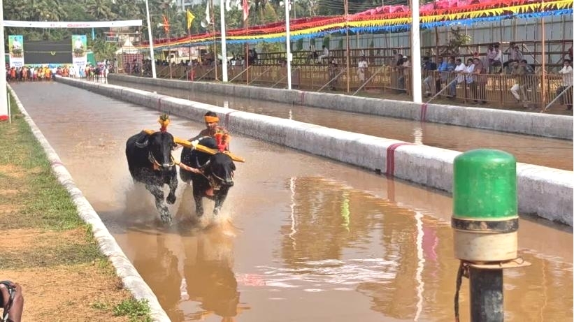 Give Rs 5 crore grant to Kambala, State Kambala Association appeals to government during cabinet meeting