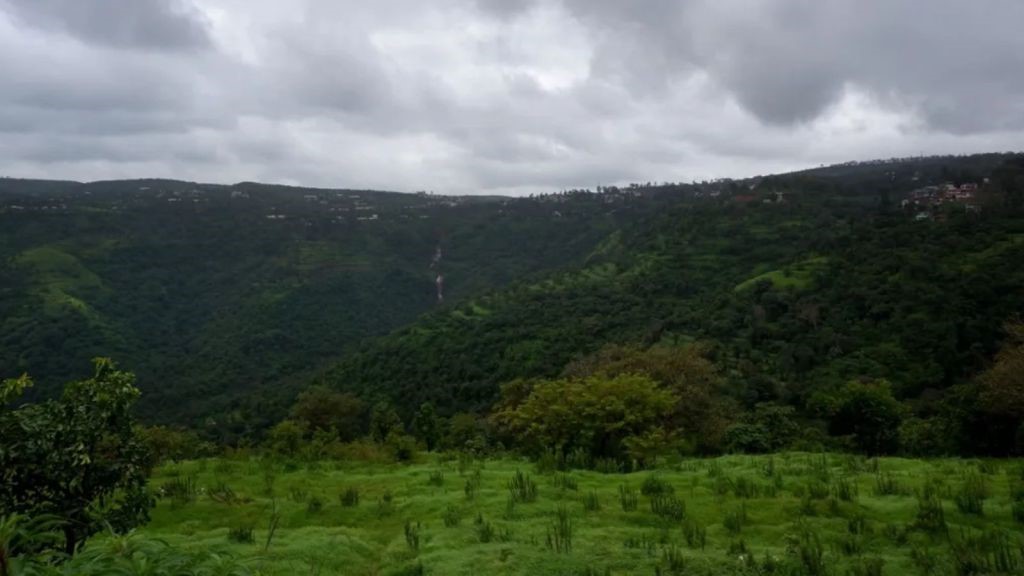 Karnataka opposes Kasturirangan report, CM to meet farmers